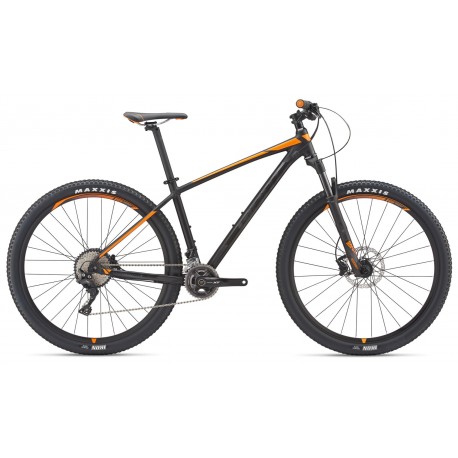 Terrago 29 2 (GE) 2019 Terrago 29 2 (GE) 2019