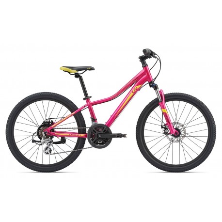 Enchant 1 24 Disc 2019 Enchant 1 24 Disc 2019