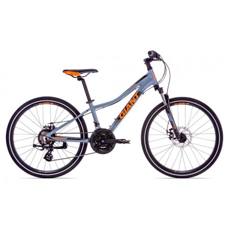 XtC Jr Disc 24 XtC Jr Disc 24