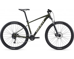 Talon 29 2 Giant 2022